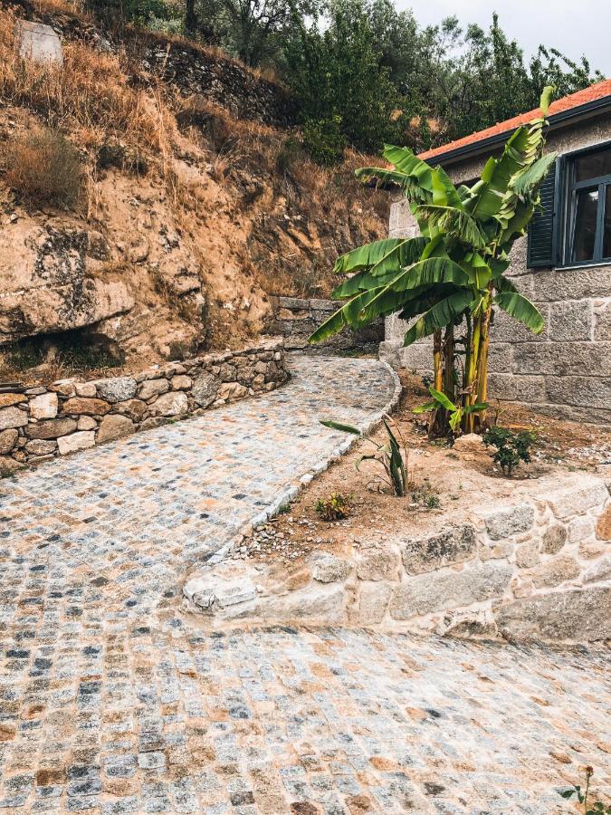 Quinta Do Fojo Valonguinho, Barro Bed & Breakfast Barro  Luaran gambar